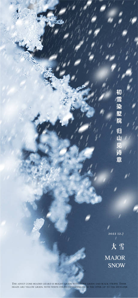 源文件下载【大雪海报】编号：20221118101005971