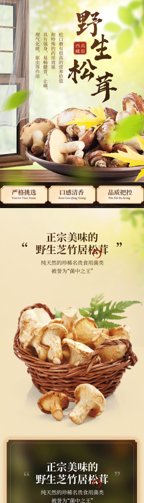 源文件下载【享设计】搜索编号：39810013123618202【松茸详情页】