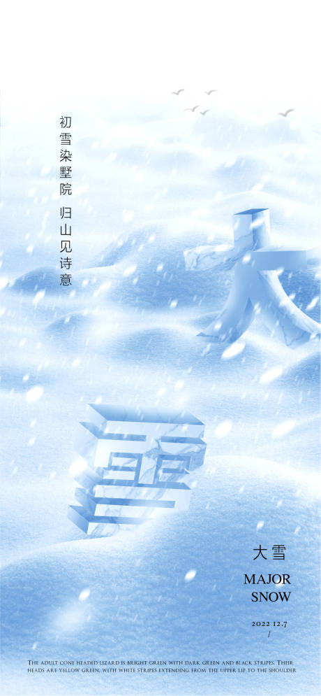 编号：20221118095649552【享设计】源文件下载-大雪海报