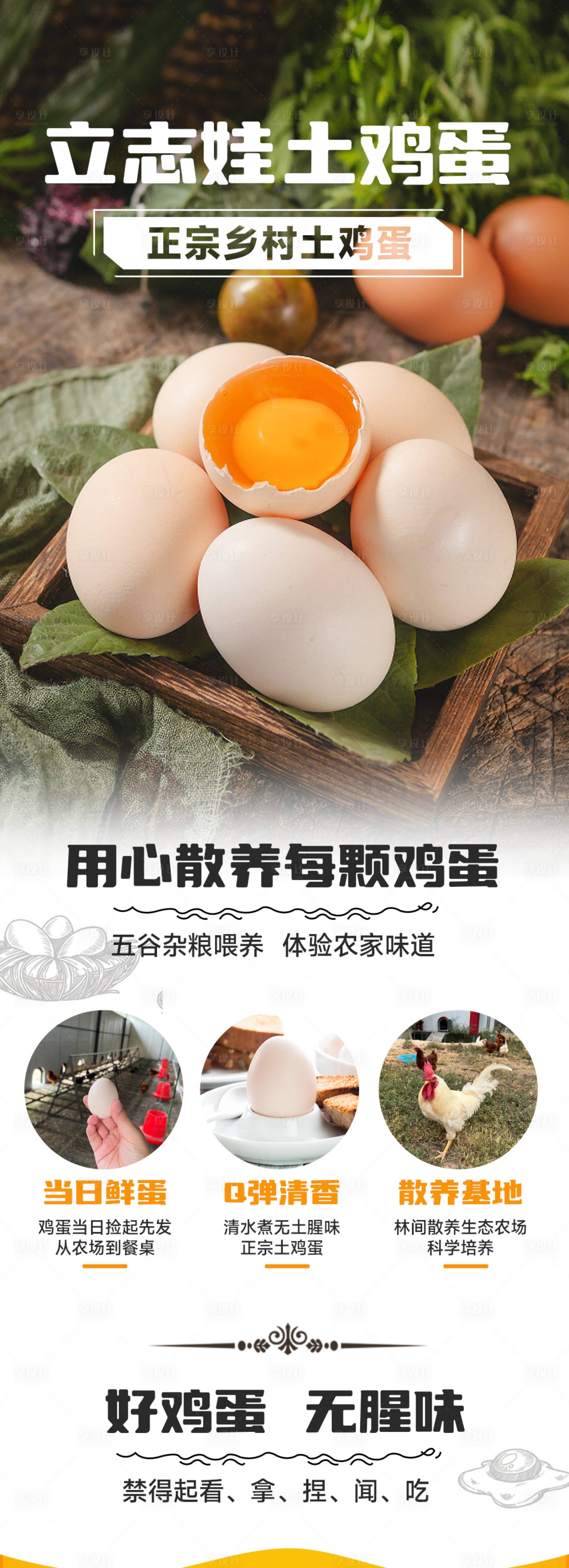 源文件下载【鸡蛋宣传长图】编号：51910013382645479