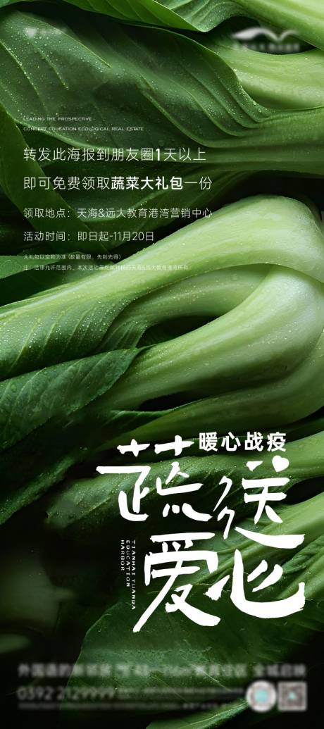 编号：20221108095439527【享设计】源文件下载-送蔬菜活动海报