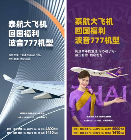 源文件下载【享设计】搜索编号：96990013300596291【泰航大飞机机型海报】