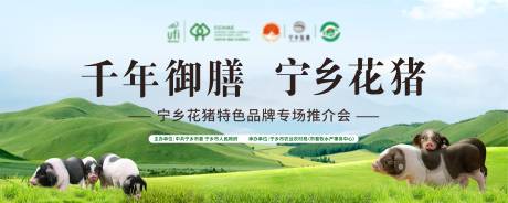 源文件下载【猪主视觉】编号：25060013129131270