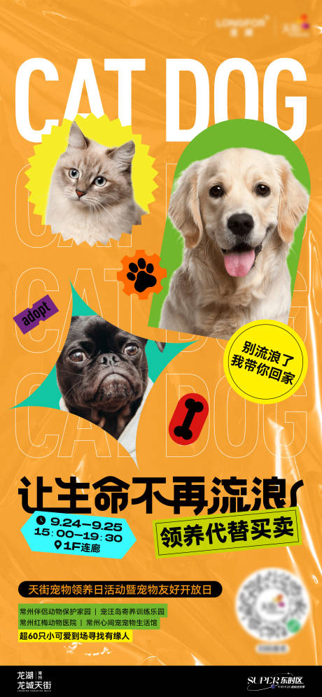 编号：20221121095507477【享设计】源文件下载-宠物领养海报