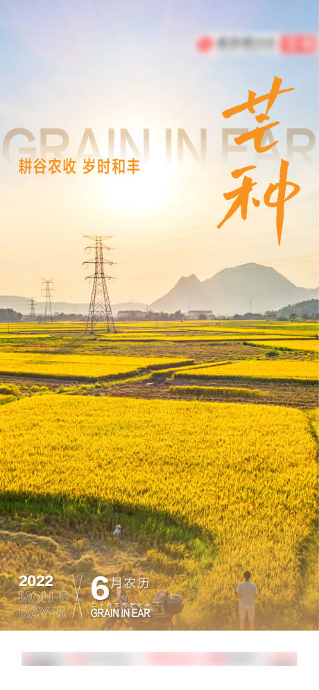 源文件下載【享設(shè)計(jì)】搜索編號(hào)：67650013516322435【芒種】