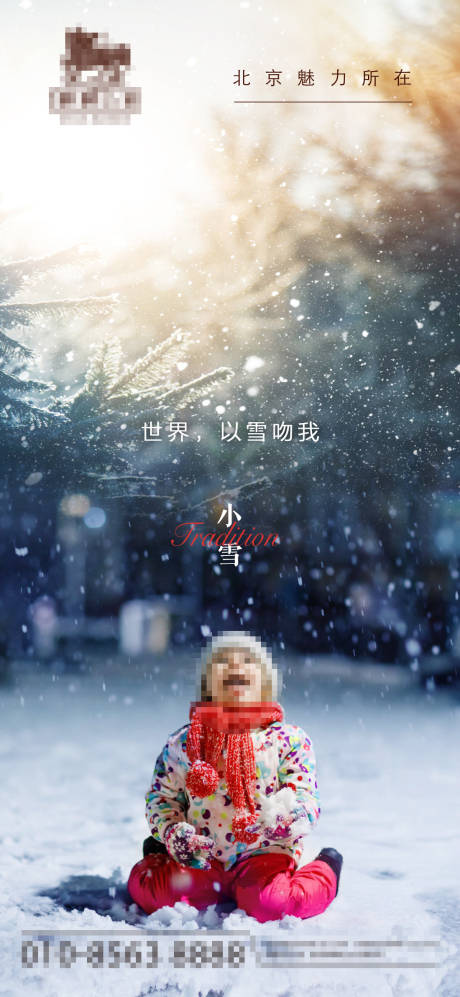 源文件下載【小雪價值點海報】編號：20000013397969026