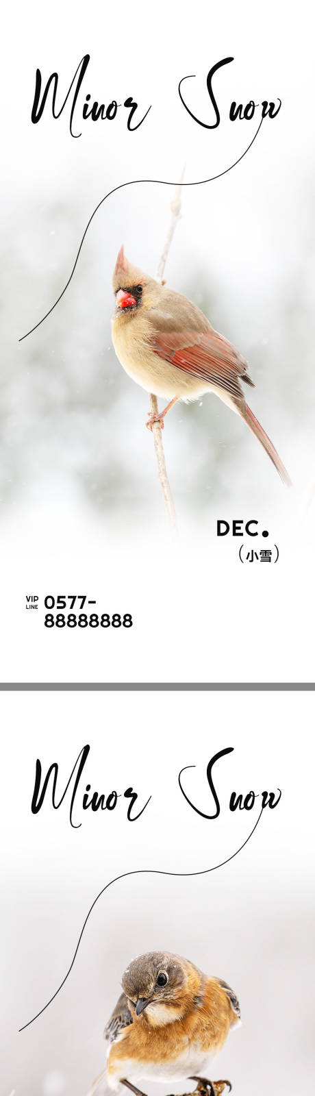 编号：20221117175749734【享设计】源文件下载-地产小雪系列海报