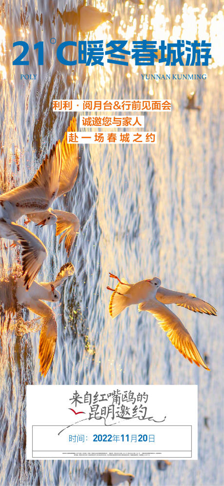 源文件下载【房地产文旅海鸥海报】编号：89880013437298935