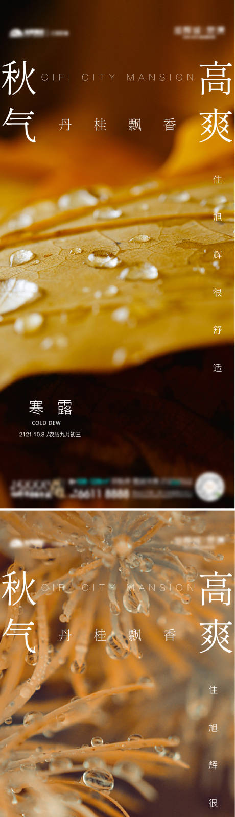 源文件下载【寒露节气海报】编号：18910013521313459