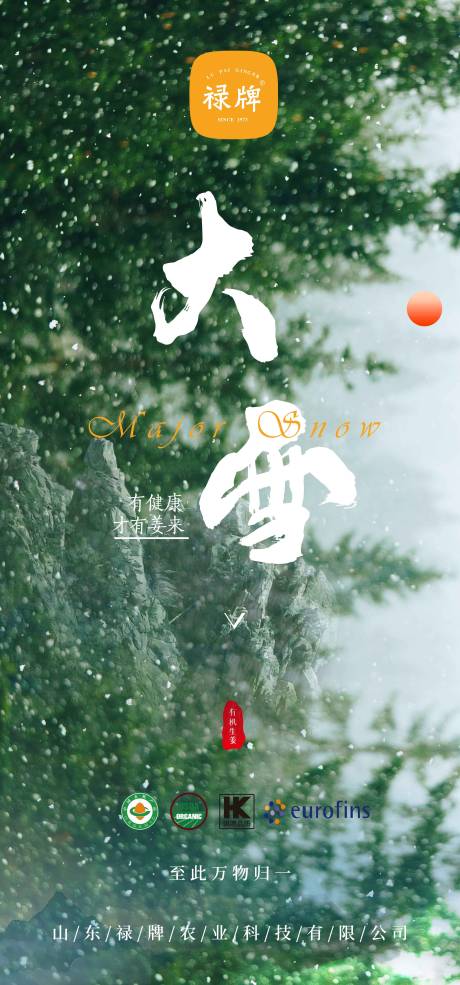 源文件下载【大雪节气海报】编号：36690013714496547