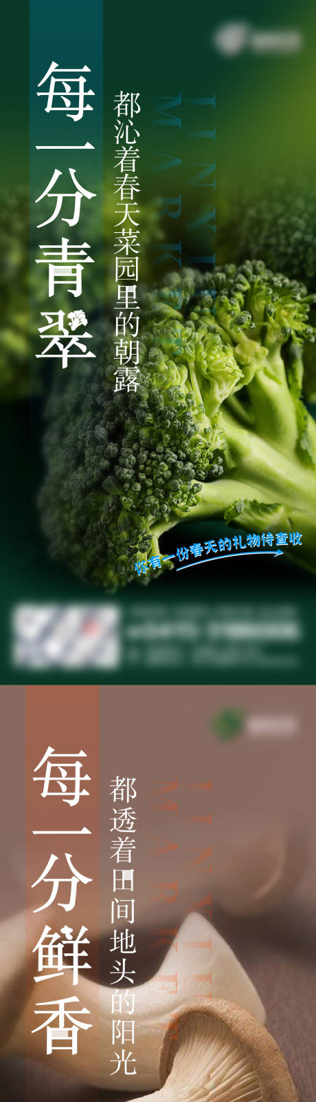 编号：20221223094946773【享设计】源文件下载-蔬菜系列海报
