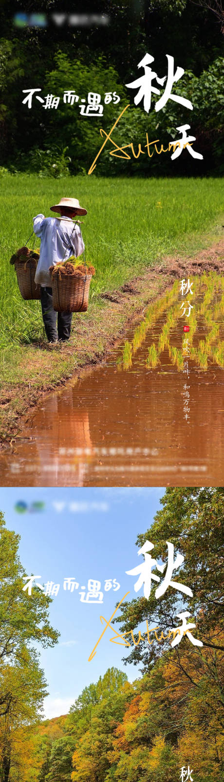 编号：20221223173919159【享设计】源文件下载-秋分海报 