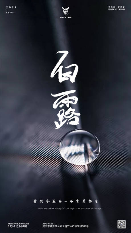 源文件下载【酒吧夜店白露节气海报】编号：41980013919867945