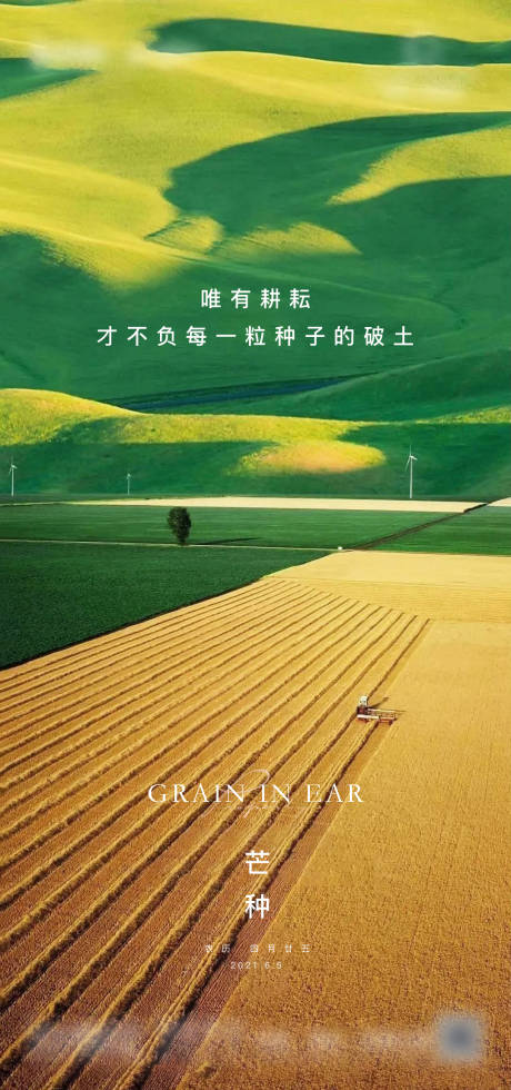 源文件下載【享設計】搜索編號：58150014026072922【芒種節氣海報】