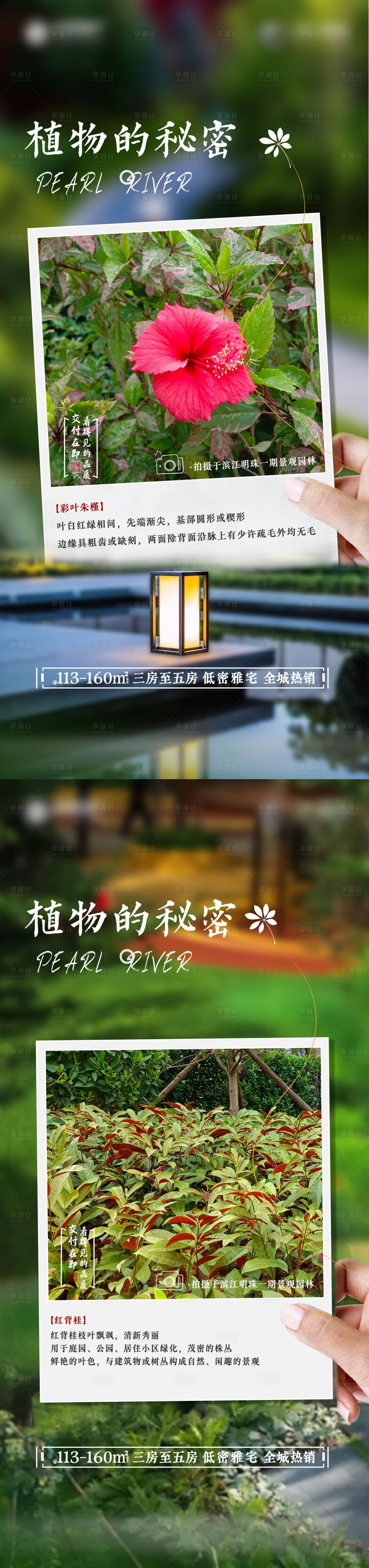 源文件下载【享设计】搜索编号：69580013884325558【地产植物价值点】