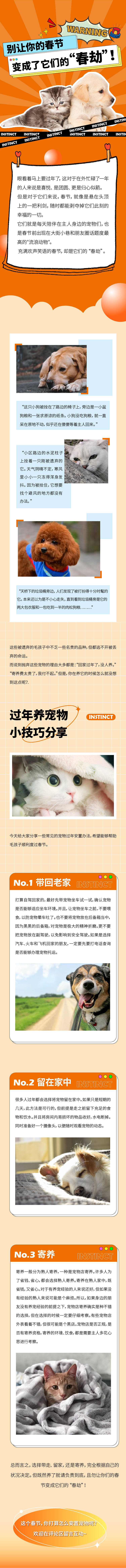 源文件下载【享设计】搜索编号：44420013903097595【猫猫狗狗食物长图】