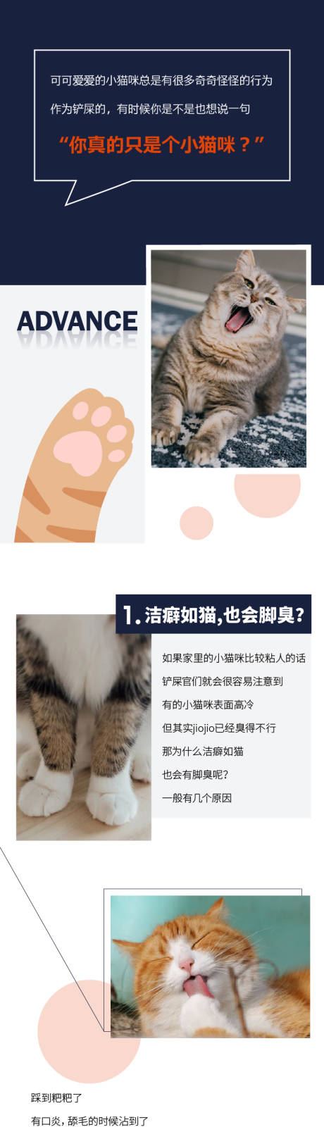 源文件下载【猫咪科普】编号：16190013902747816