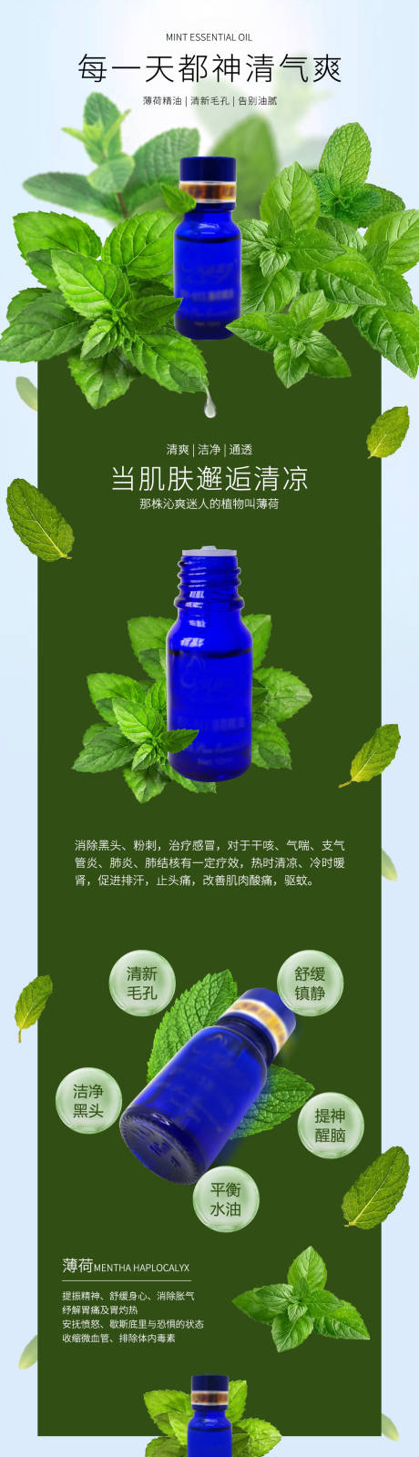 源文件下载【美容薄荷精油详情页】编号：24950013879575694