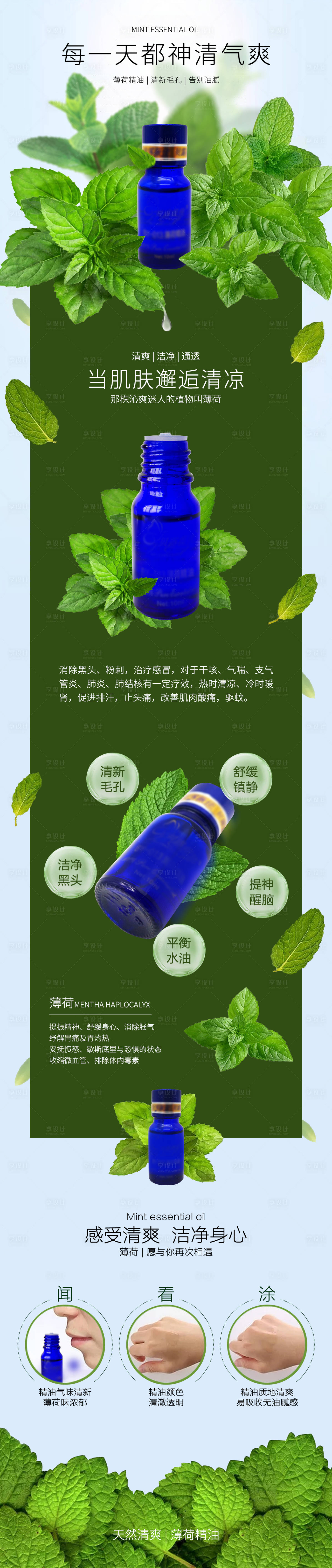 源文件下載【享設計】搜索編號：24950013879575694【美容薄荷精油詳情頁】