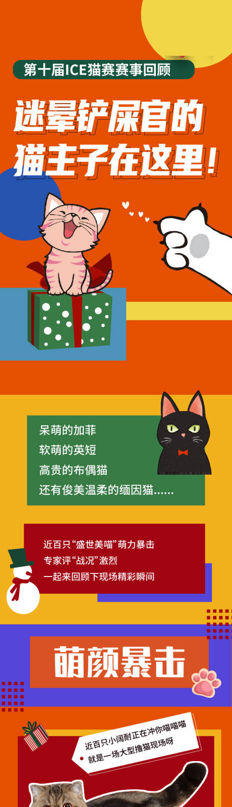 源文件下载【猫比赛回顾长图】编号：44600013905385375
