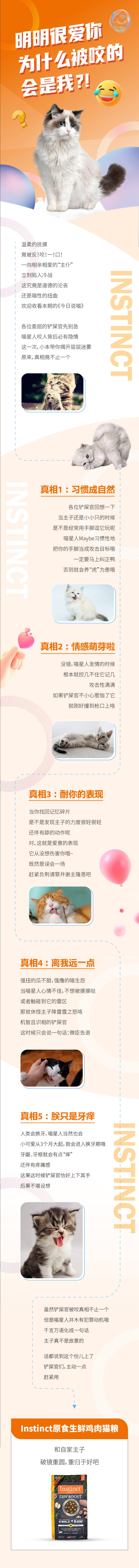 编号：20221217163554373【享设计】源文件下载-猫咪行为科普