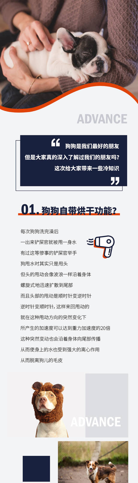 源文件下载【狗狗科普】编号：94160013902561110