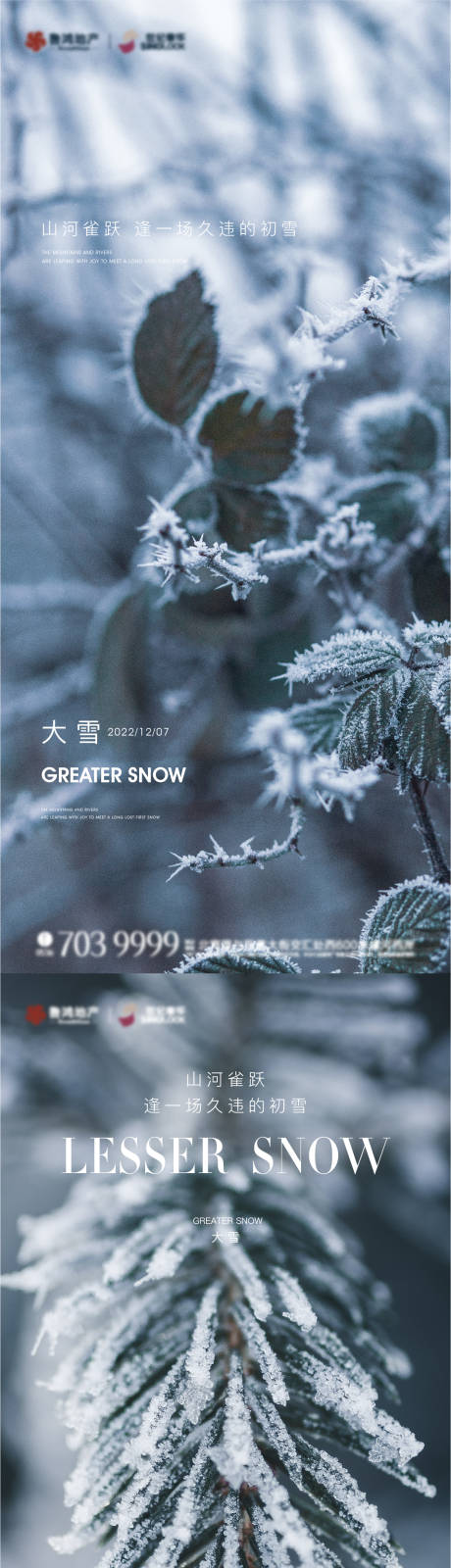 编号：20221205165007541【享设计】源文件下载-大雪节气海报