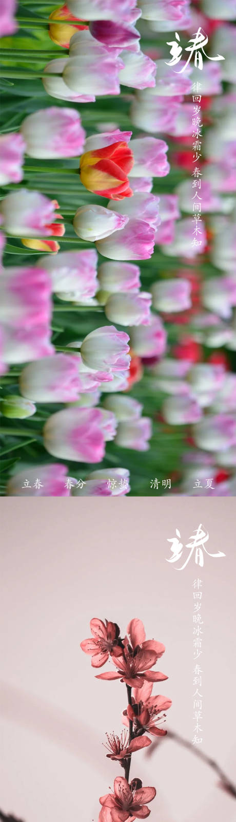 源文件下载【立春海报】编号：16560014368901692