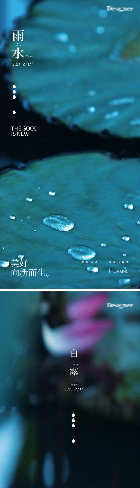 源文件下载【雨水白露荷叶节气海报】编号：68720014423097355