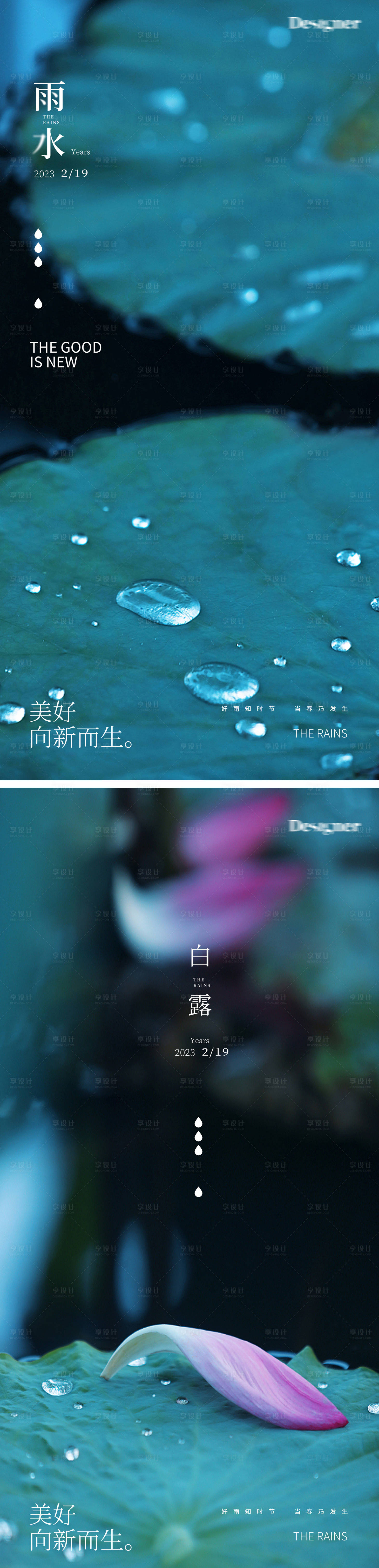 源文件下載【享設計】搜索編號：68720014423097355【雨水白露荷葉節(jié)氣海報】