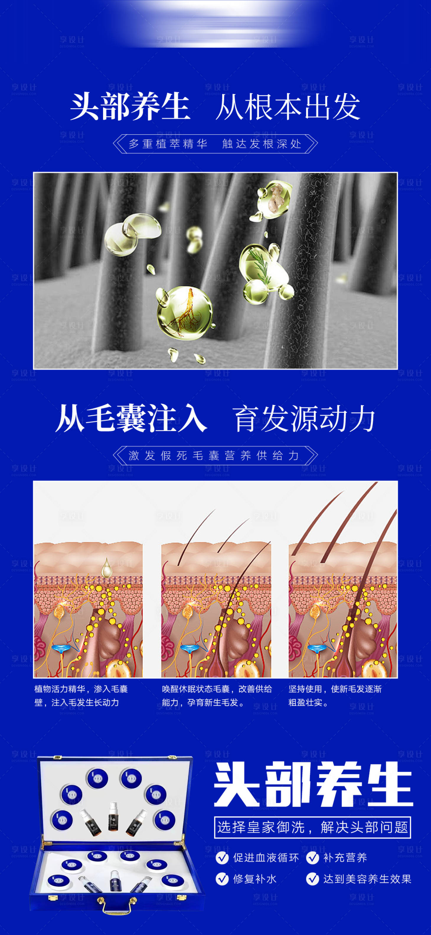 源文件下载【享设计】搜索编号：38050014224217144【头部养生脱发洗发护发】
