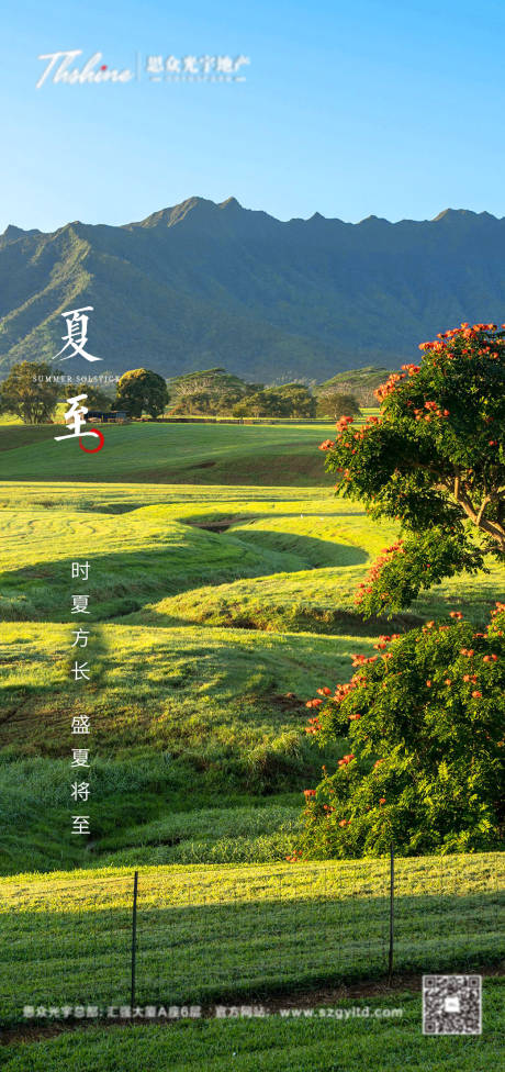 源文件下载【地产夏至节气海报】编号：69690014259897951