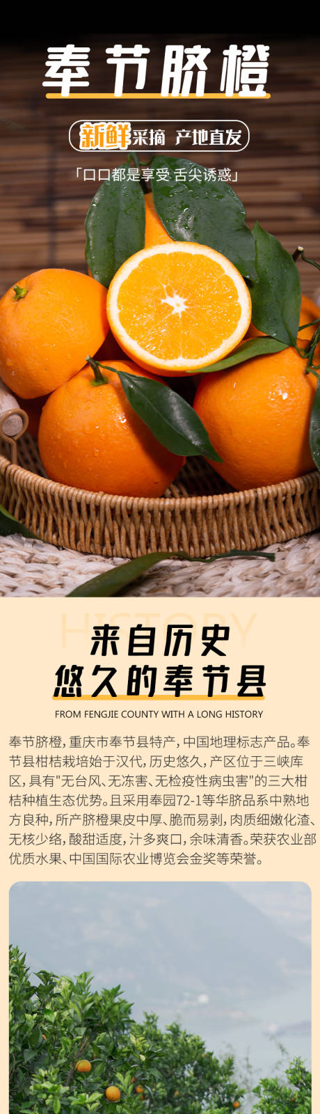 源文件下载【脐橙详情页】编号：17980014179723359