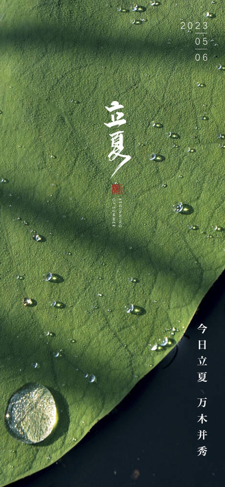 源文件下载【立夏】编号：23900014141942305
