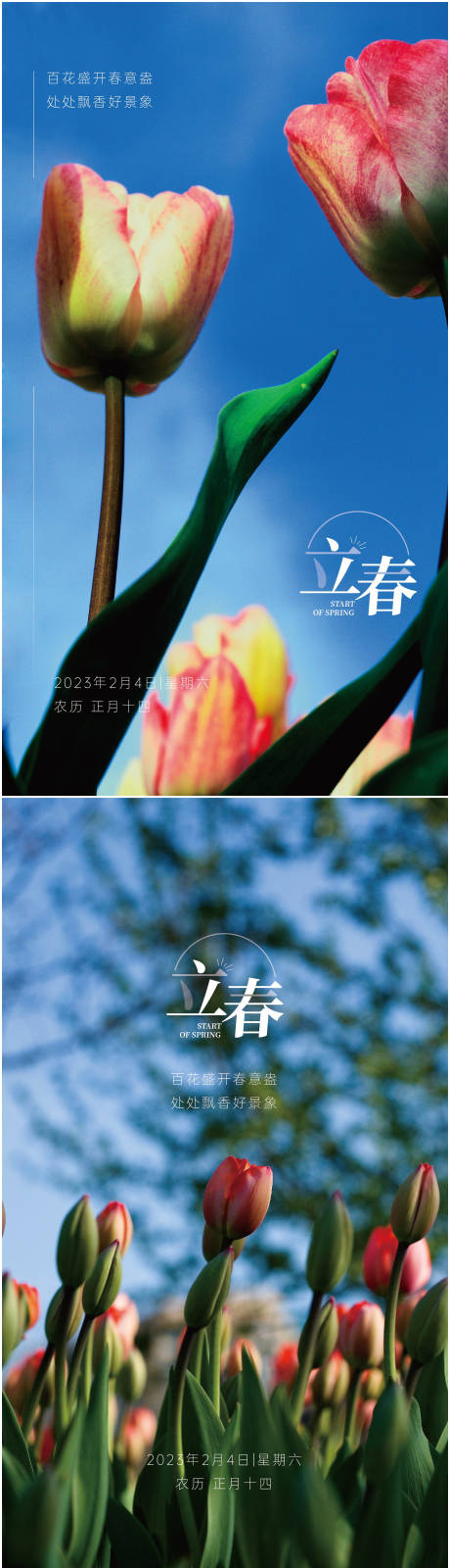 编号：20230130143300921【享设计】源文件下载-立春节气系列单屏海报