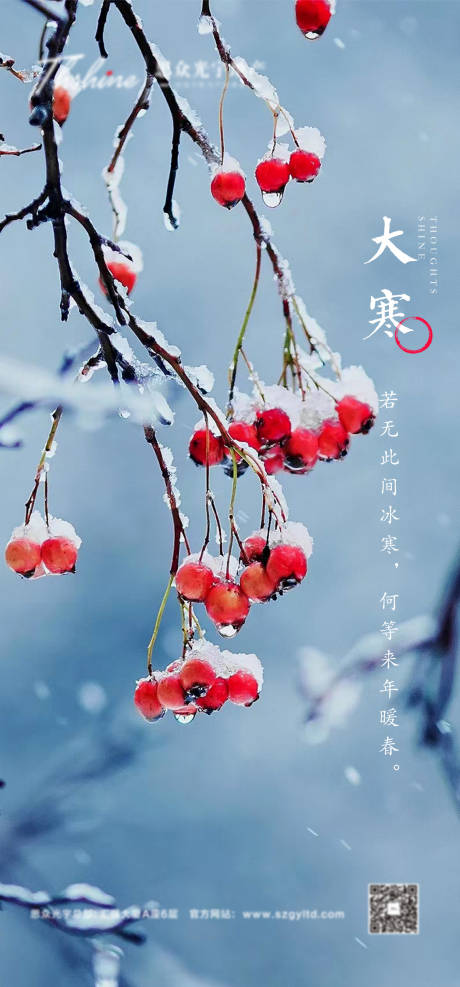 源文件下载【地产大寒 】编号：95880014315776383
