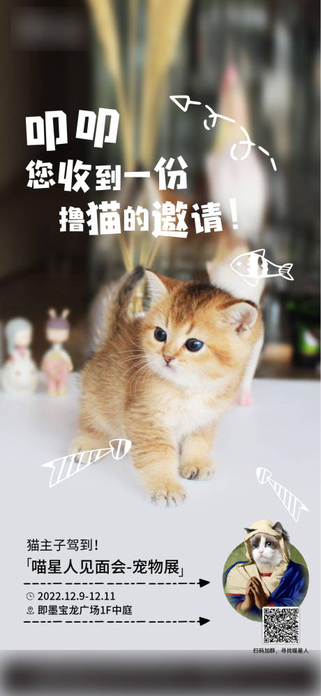 编号：20230129170729464【享设计】源文件下载-猫展海报