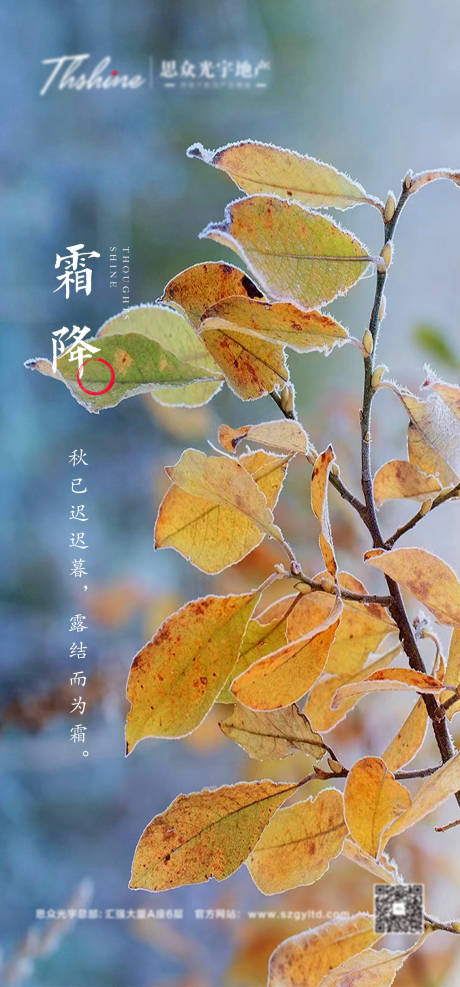 源文件下载【霜降海报】编号：67290014315865616