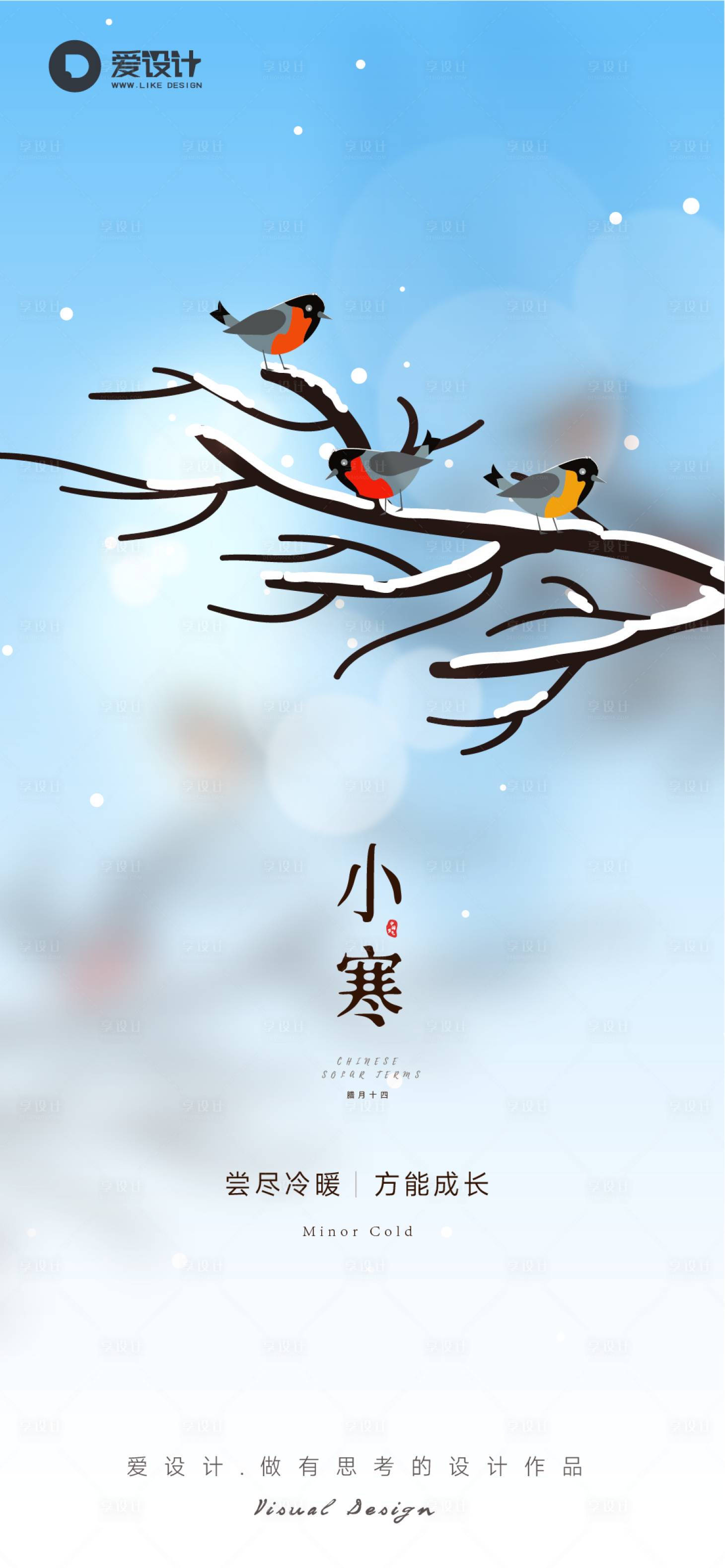 源文件下载【小寒海报】编号：31760014103087567