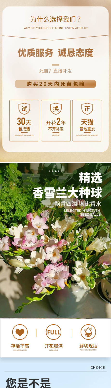 源文件下載【享設計】搜索編號：76240014424921359【花卉詳情頁】