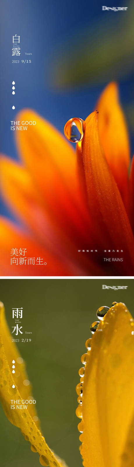 源文件下載【享設計】搜索編號：44290014423072145【雨水白露節氣海報】