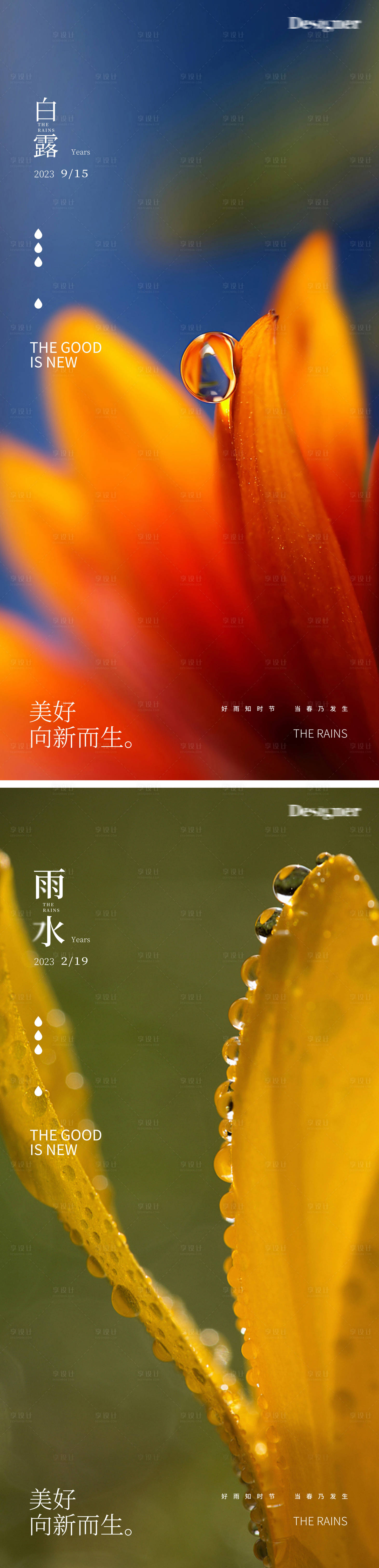 源文件下載【享設(shè)計(jì)】搜索編號：44290014423072145【雨水白露節(jié)氣海報(bào)】
