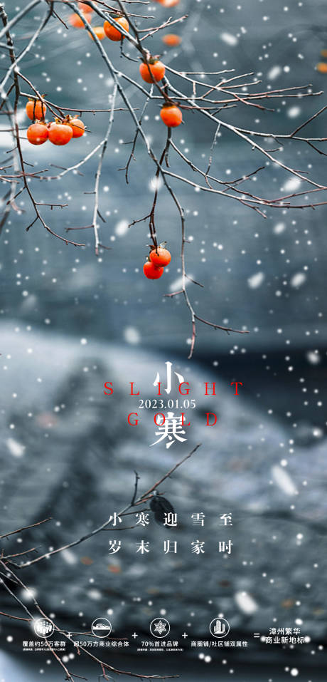 源文件下载【享设计】搜索编号：90940014105818437【二十四节气小寒海报】