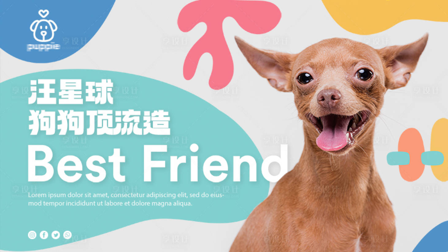 源文件下载【享设计】搜索编号：31830014153193772【宠物狗海报】