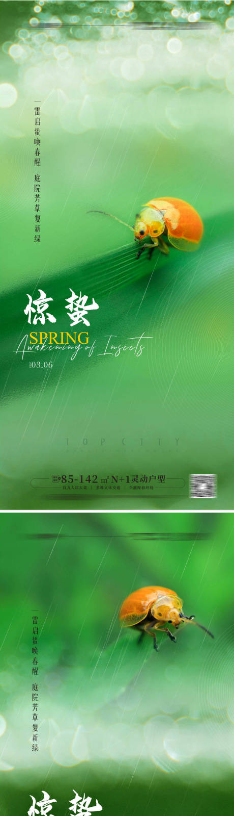 源文件下载【享设计】搜索编号：58140014222316250【惊蛰简约系列海报】