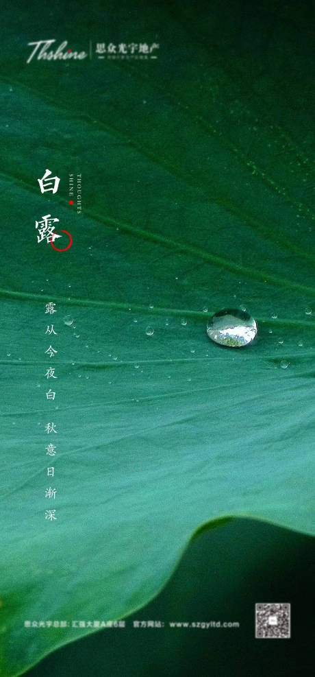 源文件下载【白露节气海报】编号：20230115204322809