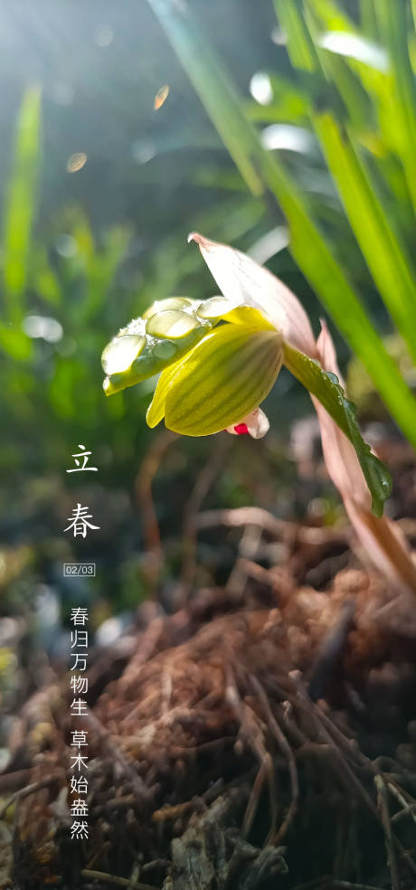 源文件下载【享设计】搜索编号：24810014308941922【地产立春节气海报】