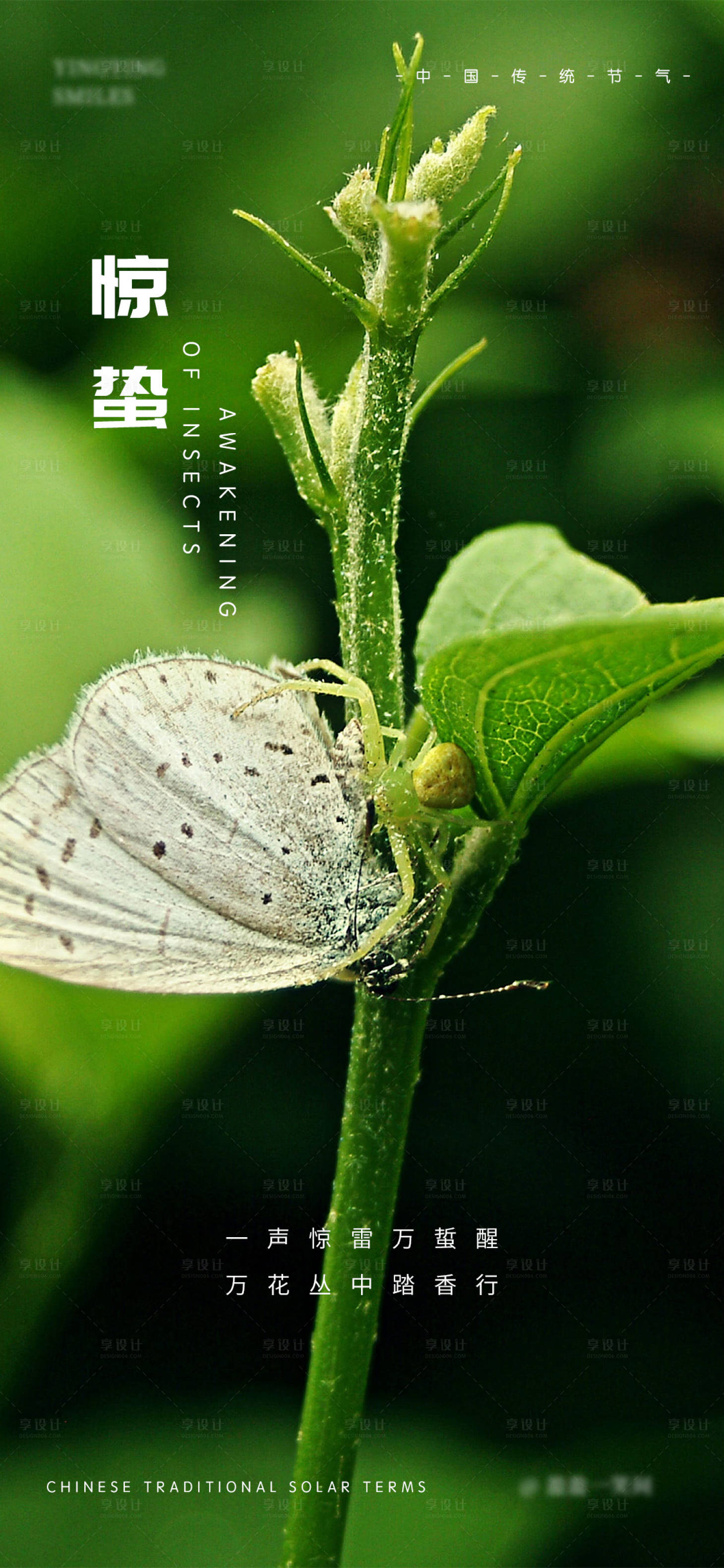 源文件下载【享设计】搜索编号：76520014960427848【24节气惊蛰海报】