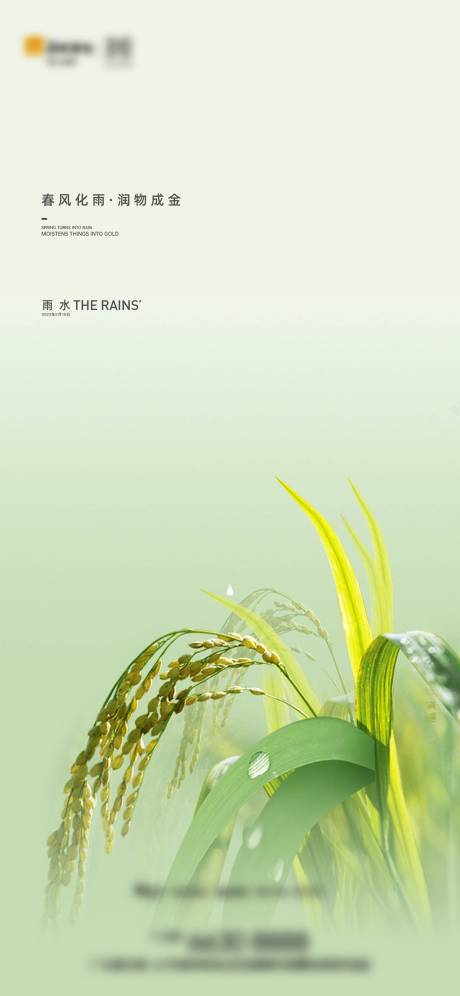 源文件下载【雨水海报】编号：20230217172319890