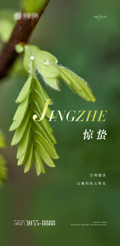 源文件下载【享设计】搜索编号：67260014689692229【惊蛰海报 】